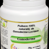 Ganoderma Lucidum, macinată - imagine 2
