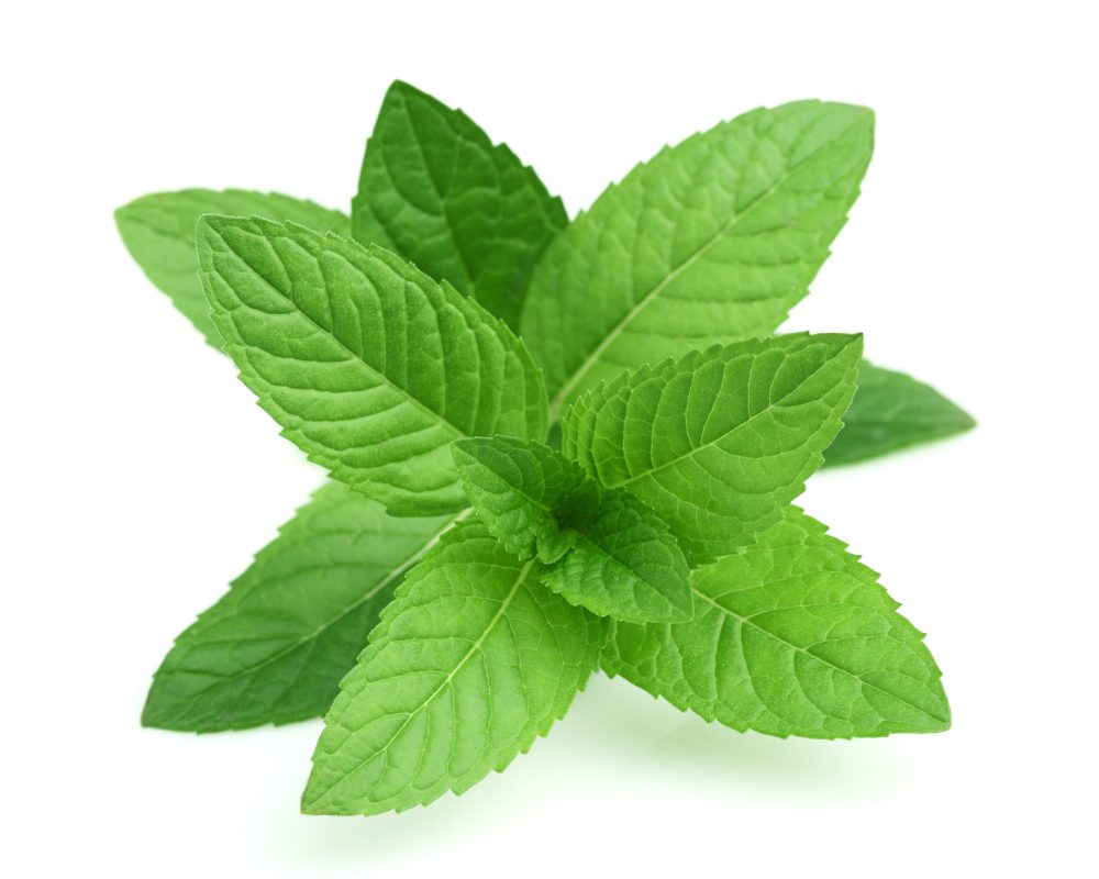 Mentă (piperita), ulei esențial natural, 10ml - imagine 3