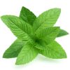 Mentă (piperita), ulei esențial natural, 10ml - imagine 3