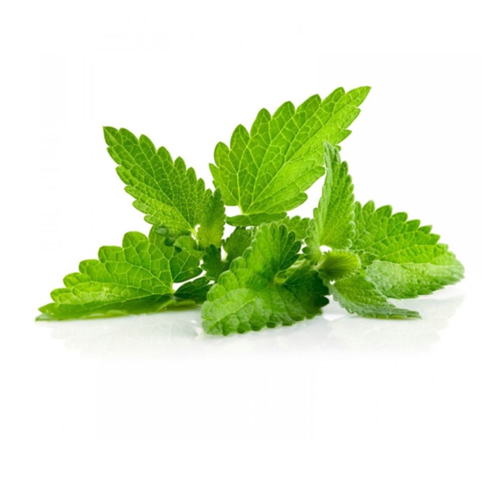 Spearmint, ulei esențial natural, 10ml - imagine 3