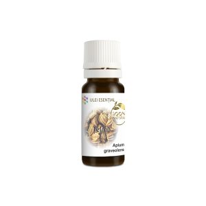 Țelină, Apium graveolens, ulei esențial natural, 10ml