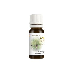 Angelica, ulei esențial natural, 10ml