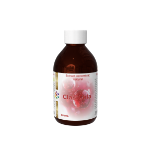 Extract concentrat pentru băutură de tip Cola, cu extract din ceai negru, îndulcit cu stevia, 100% natural, 20/100mL