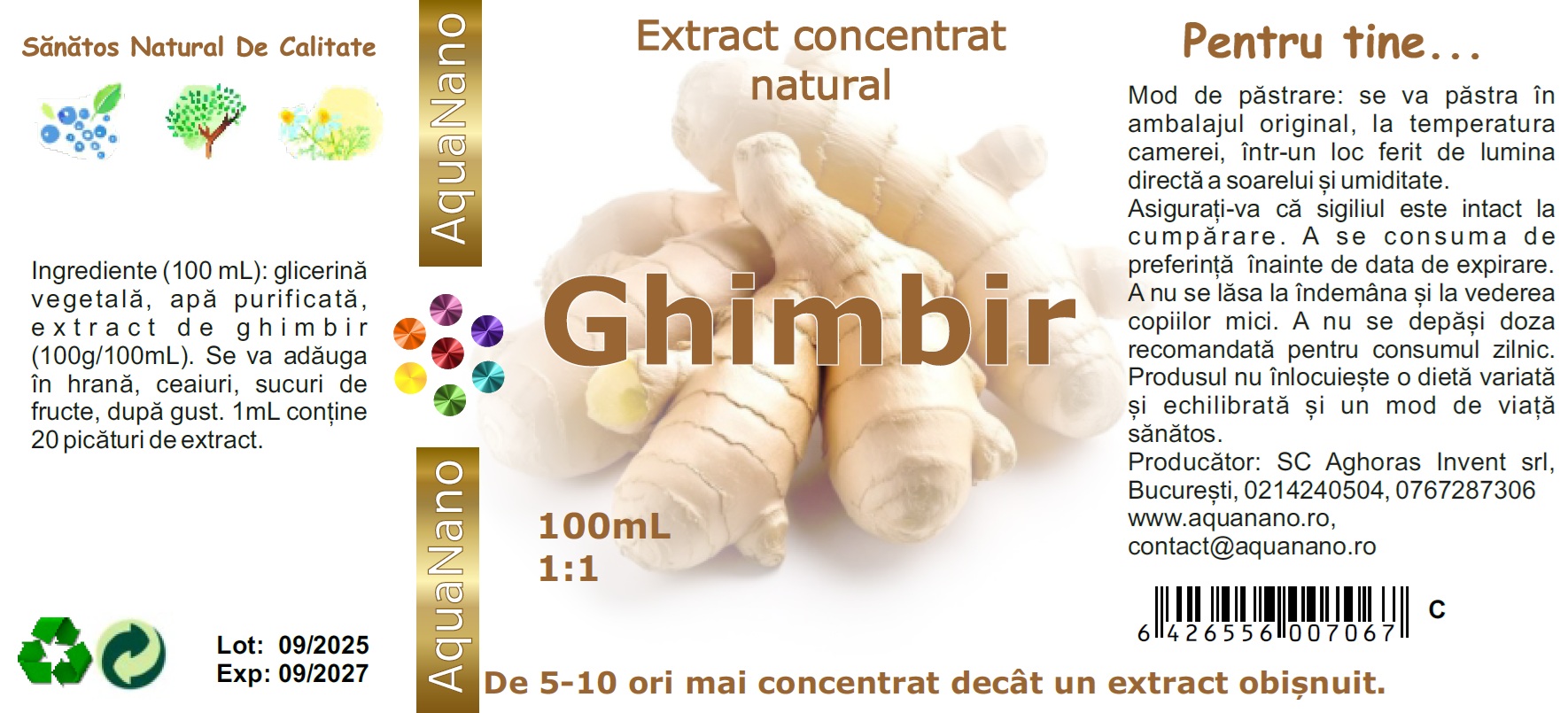 Extract concentrat de ghimbir în glicerină, 1:1, 100mL - imagine 4
