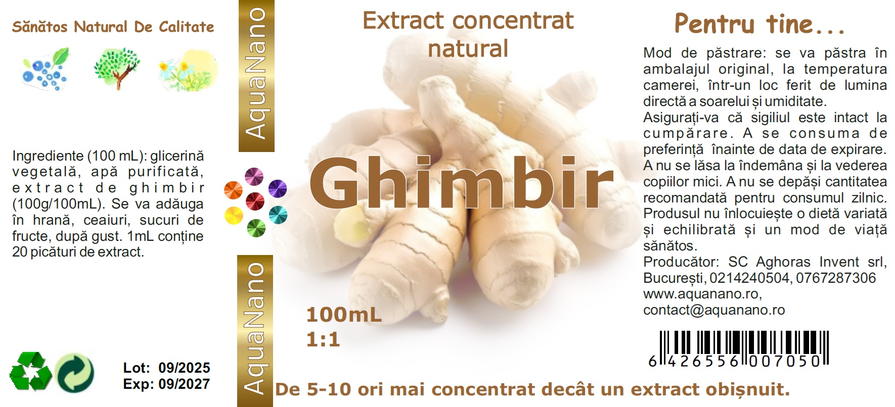 Extract concentrat de ghimbir în glicerină, 1:1, 100mL - imagine 3