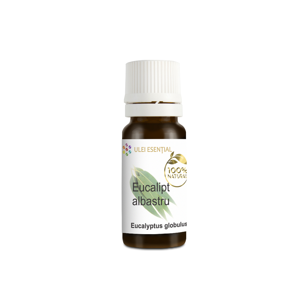 Eucalipt (globulus), ulei esențial natural, 10ml