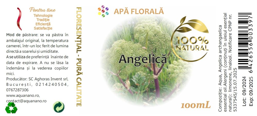 Apă florală de angelică (Angelica archangaelica) - imagine 3