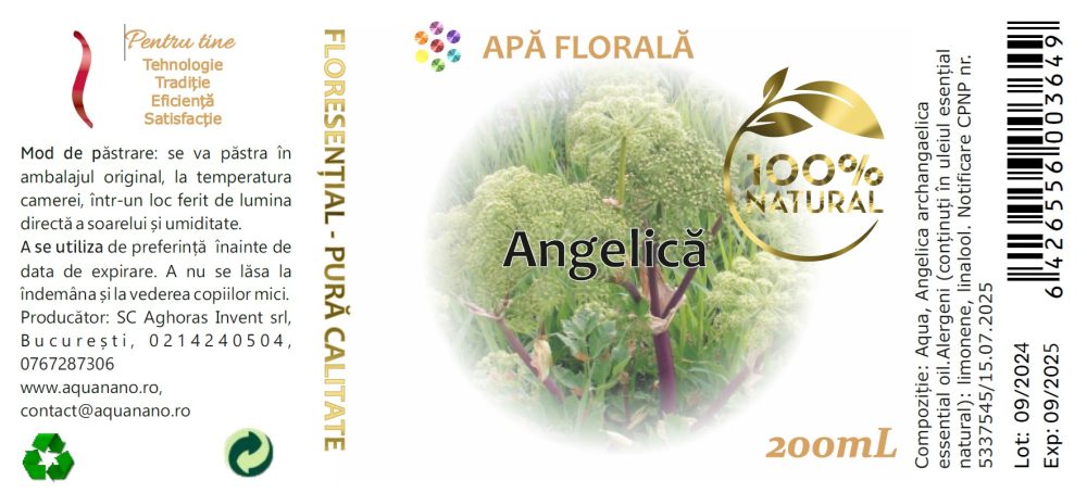 Apă florală de angelică (Angelica archangaelica) - imagine 2
