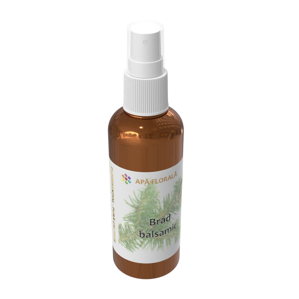 Apă florală de Brad balsamic (Abies balsamea)