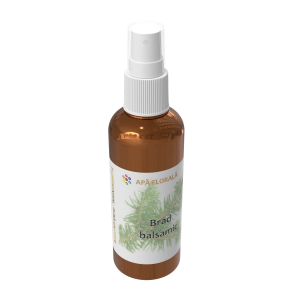 Apă florală de Brad balsamic (Abies balsamea)