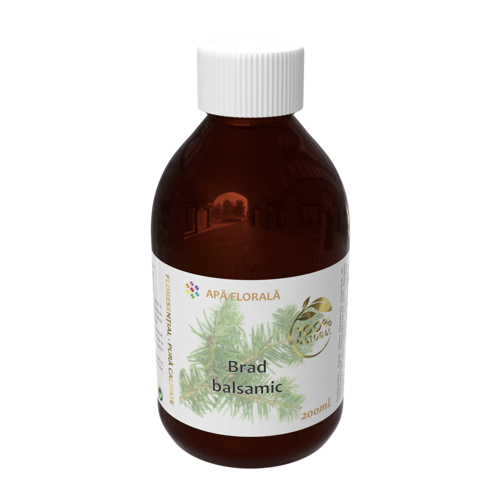 Apă florală de Brad balsamic (Abies balsamea) - imagine 2