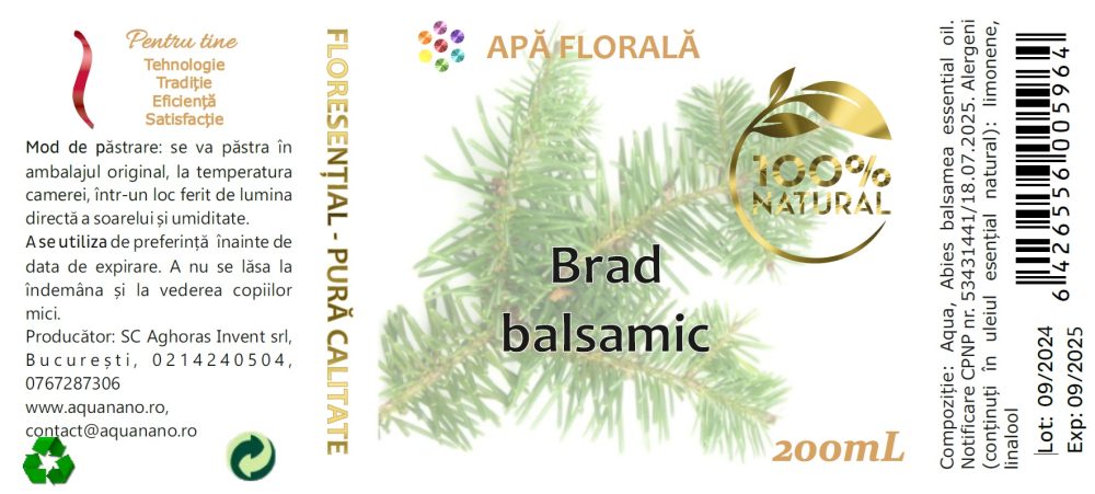Apă florală de Brad balsamic (Abies balsamea) - imagine 2